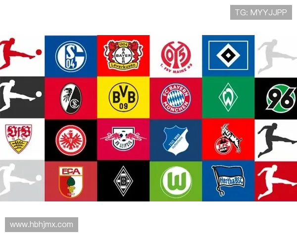 德甲球队注册要求：了解德甲球队的注册要求与流程